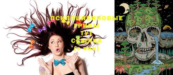 PSILOCYBIN Абинск