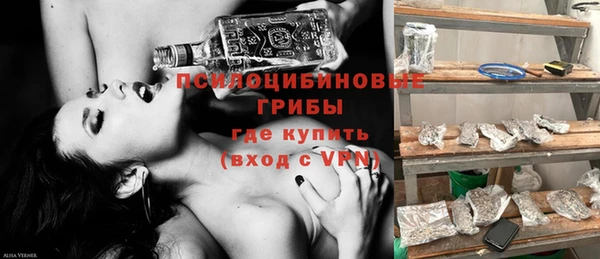 PSILOCYBIN Абинск