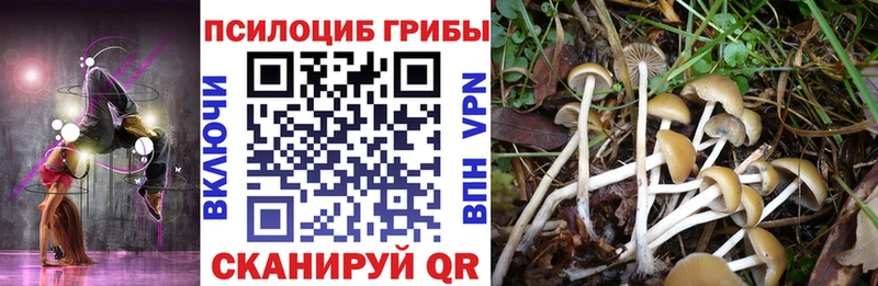Псилоцибиновые грибы мухоморы Старый Крым